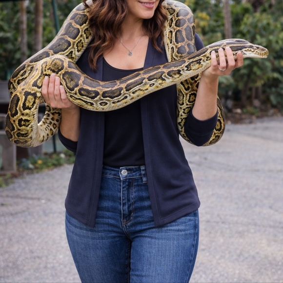 Daniel Cremieux Denim - Cremieux Skinny Hailey Blue‎ Jeans Heritage Size 8 NWT